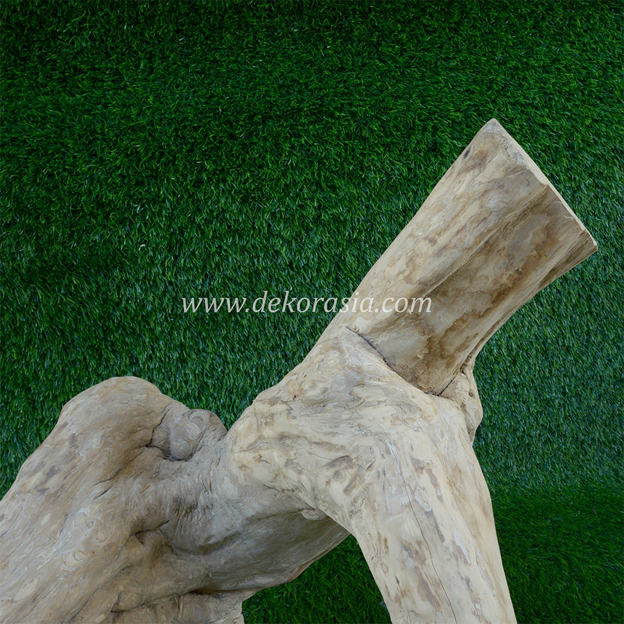 Coffee Wood Craft (Size XL) - Natural Coffee Wood for Reptile, Aquarium, Aquascaping - Image 4