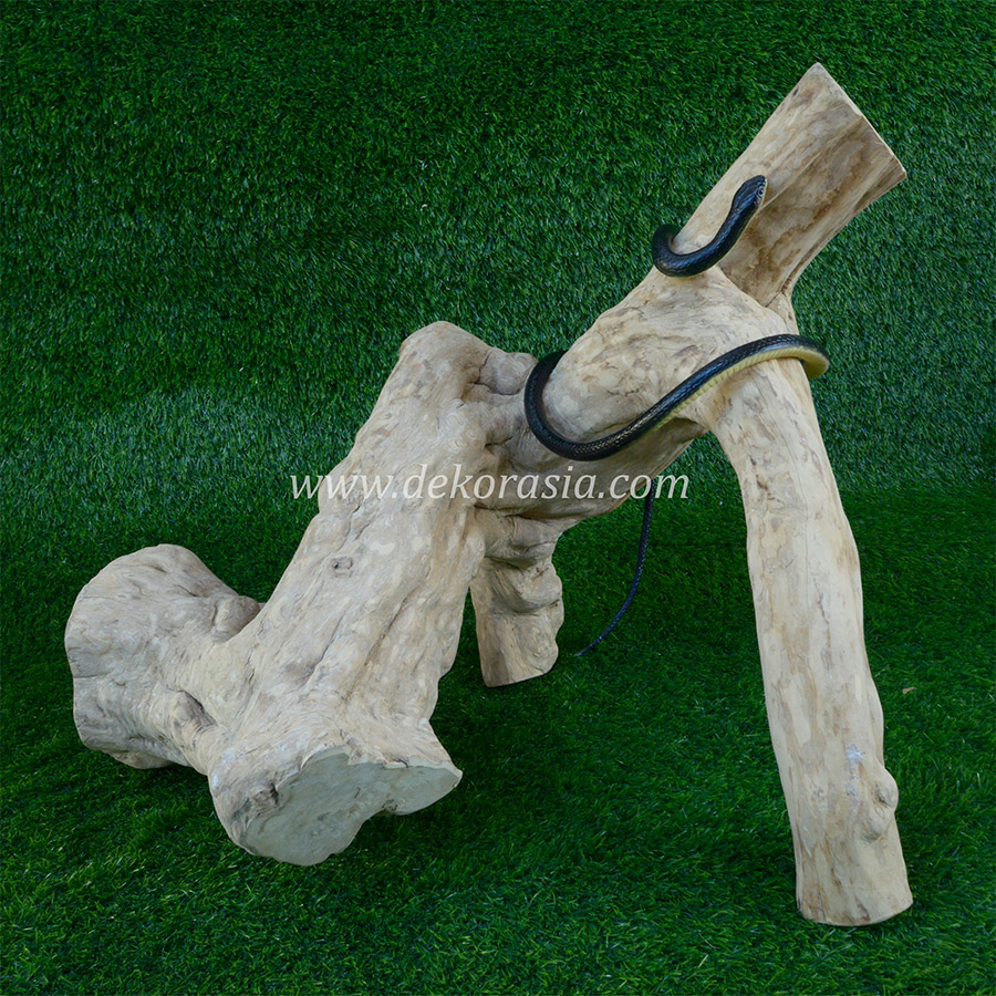 Coffee Wood Craft (Size XL) - Natural Coffee Wood for Reptile, Aquarium, Aquascaping - Image 2