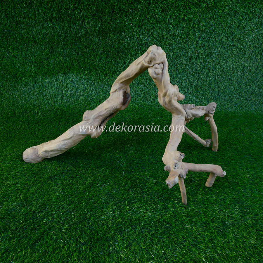Coffee Wood Craft (Size M) - Coffee Wood Unique for Reptile, Aquarium, Aquascaping - Image 2