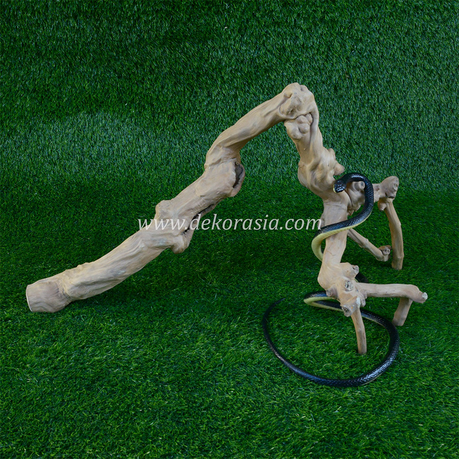 Coffee Wood Craft (Size M) - Coffee Wood Unique for Reptile, Aquarium, Aquascaping - Image 4